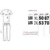 ست تی شرت و شلوار مردانه جنس پارچه بیسکویتی لاکرادار رنگ طوسی